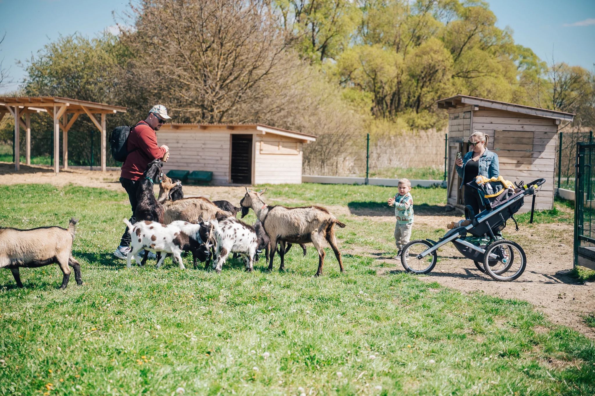 Start léta na farmě + Den otců